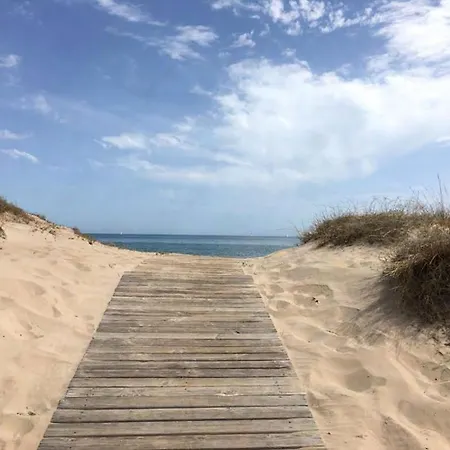 Precioso Playa * オリーバ